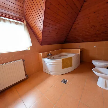 In 35176 Holiday home Balatonfenyves